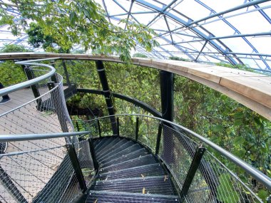 Masoala Yağmur Ormanları - Der Masoala Regenwald - La Foret Pluviale de Masoala - La Foresta pluviale Masoala - Hayvanat Bahçesi Zürih (Zuerich), İsviçre / Schweiz