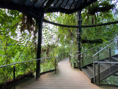Masoala Yağmur Ormanları - Der Masoala Regenwald - La Foret Pluviale de Masoala - La Foresta pluviale Masoala - Hayvanat Bahçesi Zürih (Zuerich), İsviçre / Schweiz