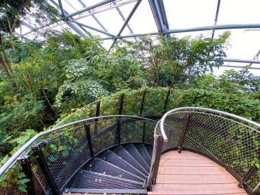 Masoala Yağmur Ormanları - Der Masoala Regenwald - La Foret Pluviale de Masoala - La Foresta pluviale Masoala - Hayvanat Bahçesi Zürih (Zuerich), İsviçre / Schweiz