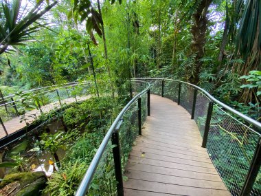 Masoala Yağmur Ormanları - Der Masoala Regenwald - La Foret Pluviale de Masoala - La Foresta pluviale Masoala - Hayvanat Bahçesi Zürih (Zuerich), İsviçre / Schweiz
