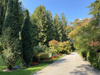 Mezarlığa park et Fluntern / Der Friedhof Fluntern, Zurichberg (Zuerichberg) İlçesi - Zürih (Zuerich), İsviçre / Schweiz