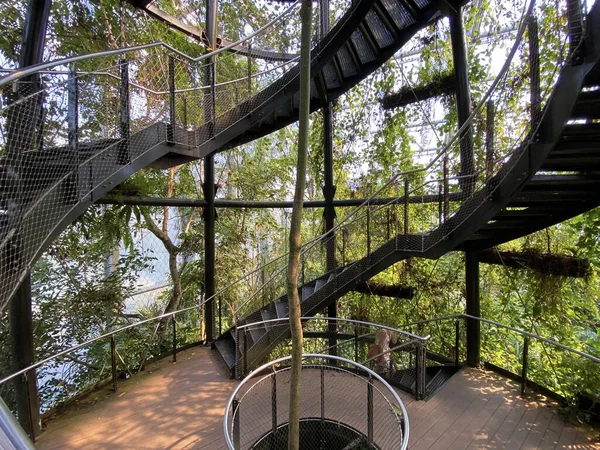 Masoala Yağmur Ormanları - Der Masoala Regenwald - La Foret Pluviale de Masoala - La Foresta pluviale Masoala - Hayvanat Bahçesi Zürih (Zuerich), İsviçre / Schweiz