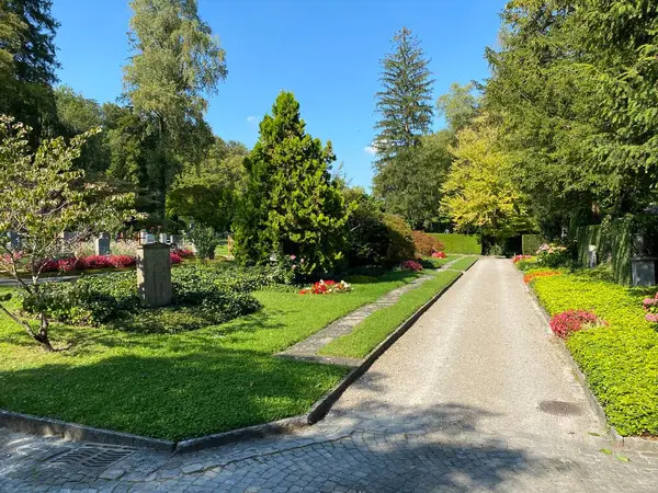 Parc Cimetière Fluntern Cimetière Fluntern Der Friedhof Fluntern Zurichberg Zuerichberg — Photo
