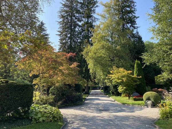 สวนสาธารณะท สาน Fluntern Graveyard Fluntern Der Friedhof Fluntern เขตซ คเบ — ภาพถ่ายสต็อก