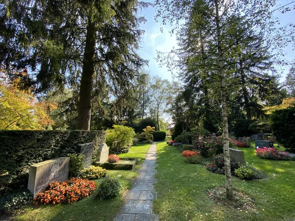 Парк Кладбище Fluntern Кладбище Fluntern Der Friedhof Fluntern Zurichberg Zuerichberg — стоковое фото