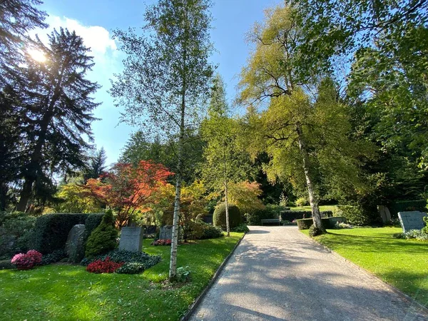 Parco Cimitero Fluntern Graveyard Fluntern Der Friedhof Fluntern Zurichberg Zuerichberg — Foto Stock