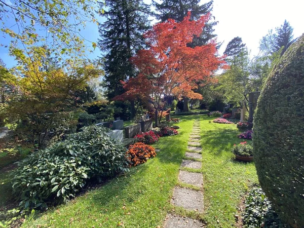 Parque Cementerio Fluntern Graveyard Fluntern Der Friedhof Fluntern Zurichberg Zuerichberg — Foto de Stock