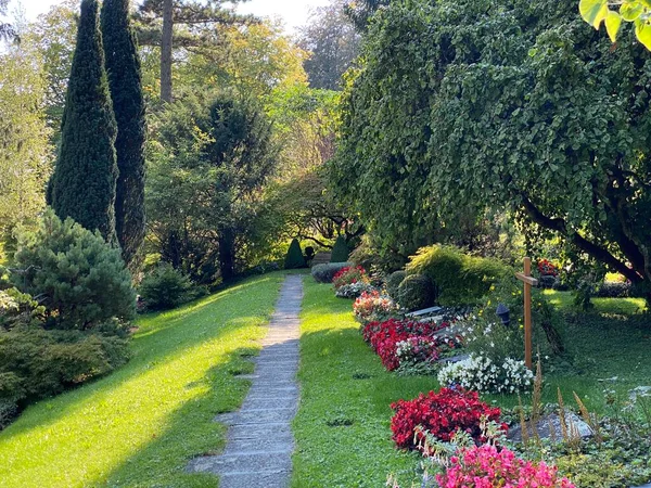 Парк Кладовищі Fluntern Graveyard Fluntern Der Friedhof Fluntern Zurichberg Zuerichberg — стокове фото