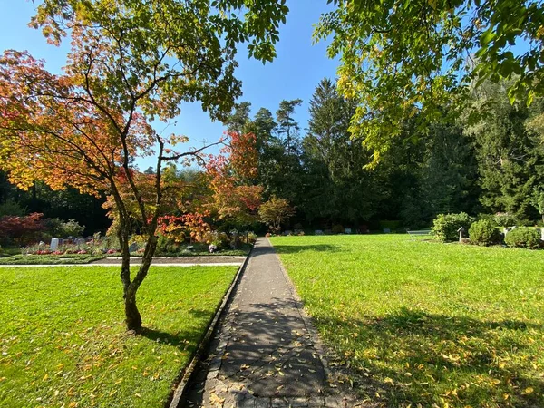 墓地の公園FlunternまたはGraveard Fluntern Der Freedhof Fluntern Zurichberg Zuerichberg チューリッヒ Zuerich スイス — ストック写真