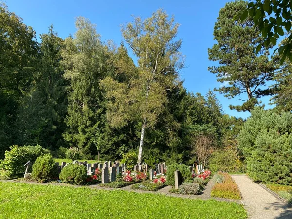 Парк Кладбище Fluntern Кладбище Fluntern Der Friedhof Fluntern Zurichberg Zuerichberg — стоковое фото