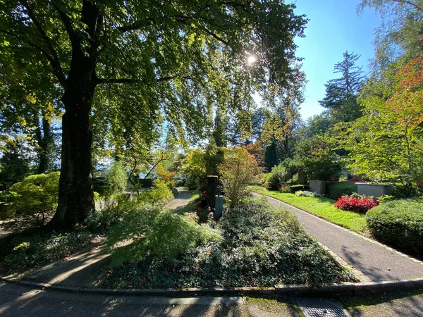 Парк Кладбище Fluntern Кладбище Fluntern Der Friedhof Fluntern Zurichberg Zuerichberg — стоковое фото