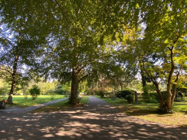 Mezarlığa park et Fluntern / Der Friedhof Fluntern, Zurichberg (Zuerichberg) İlçesi - Zürih (Zuerich), İsviçre / Schweiz