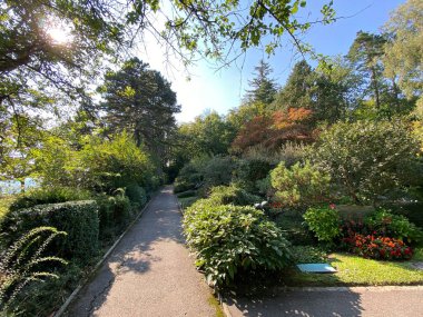 Mezarlığa park et Fluntern / Der Friedhof Fluntern, Zurichberg (Zuerichberg) İlçesi - Zürih (Zuerich), İsviçre / Schweiz