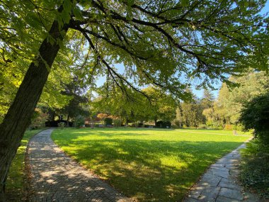 Mezarlığa park et Fluntern / Der Friedhof Fluntern, Zurichberg (Zuerichberg) İlçesi - Zürih (Zuerich), İsviçre / Schweiz