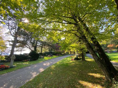 Mezarlığa park et Fluntern / Der Friedhof Fluntern, Zurichberg (Zuerichberg) İlçesi - Zürih (Zuerich), İsviçre / Schweiz