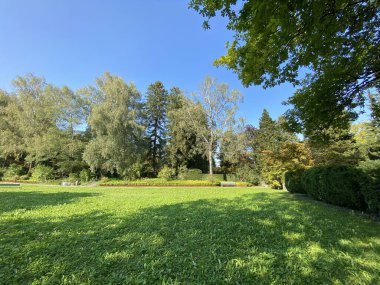 Mezarlığa park et Fluntern / Der Friedhof Fluntern, Zurichberg (Zuerichberg) İlçesi - Zürih (Zuerich), İsviçre / Schweiz