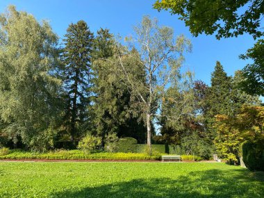 Mezarlığa park et Fluntern / Der Friedhof Fluntern, Zurichberg (Zuerichberg) İlçesi - Zürih (Zuerich), İsviçre / Schweiz