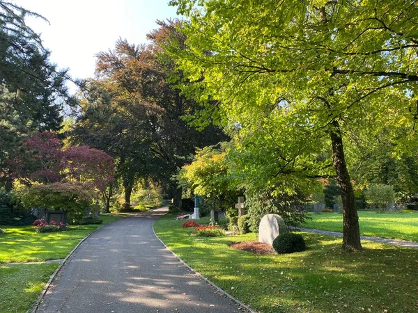 Parque Cementerio Fluntern Graveyard Fluntern Der Friedhof Fluntern Zurichberg Zuerichberg —  Fotos de Stock