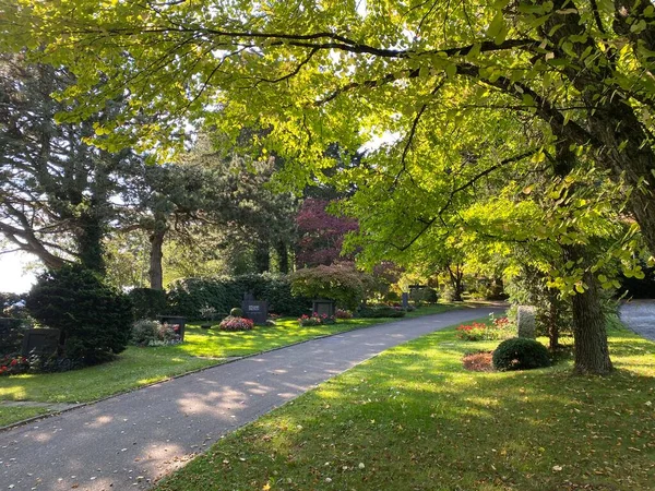 Parque Cementerio Fluntern Graveyard Fluntern Der Friedhof Fluntern Zurichberg Zuerichberg — Foto de Stock