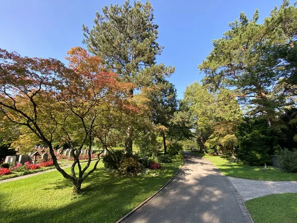 Parque Cementerio Fluntern Graveyard Fluntern Der Friedhof Fluntern Zurichberg Zuerichberg — Foto de Stock