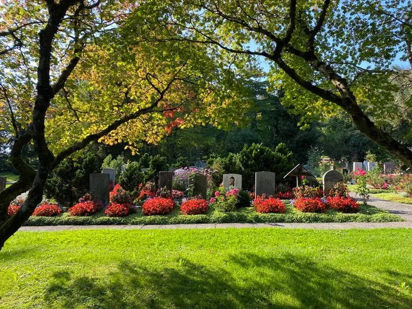 Parque Cementerio Fluntern Graveyard Fluntern Der Friedhof Fluntern Zurichberg Zuerichberg — Foto de Stock