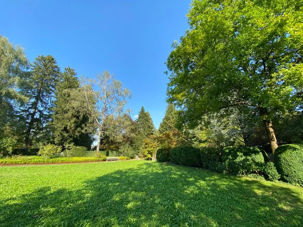 Parque Cemitério Fluntern Cemitério Fluntern Der Friedhof Fluntern Distrito Zurichberg — Fotografia de Stock