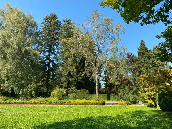 สวนสาธารณะท สาน Fluntern Graveyard Fluntern Der Friedhof Fluntern เขตซ คเบ — ภาพถ่ายสต็อก