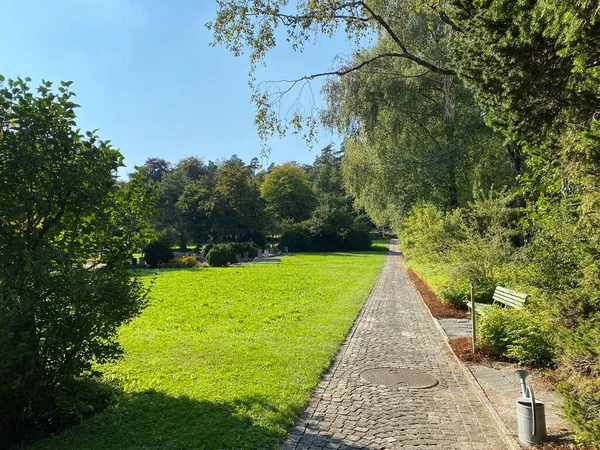 Parque Cementerio Fluntern Graveyard Fluntern Der Friedhof Fluntern Zurichberg Zuerichberg — Foto de Stock