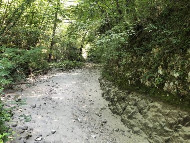 Sopot şelalesinin altındaki dere kanyonu, Pican - Istria, Hırvatistan - Kanjon potoka podu Sopot, Pian - Istra, Hrvatska