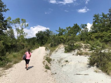 Sopot şelalesi, Pican - Istria, Hırvatistan - Istarski krajolik i vejacija u kolici tokadı Sopot, Pican - Istra, Hrvatska