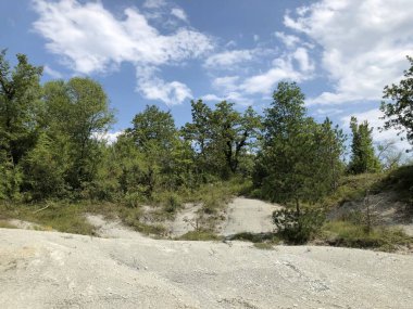 Sopot şelalesi, Pican - Istria, Hırvatistan - Istarski krajolik i vejacija u kolici tokadı Sopot, Pican - Istra, Hrvatska