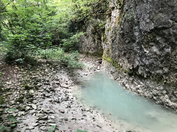 Canyon Ruisseau Sous Cascade Sopot Pican Istrie Croatie Kanjon Potoka — Photo