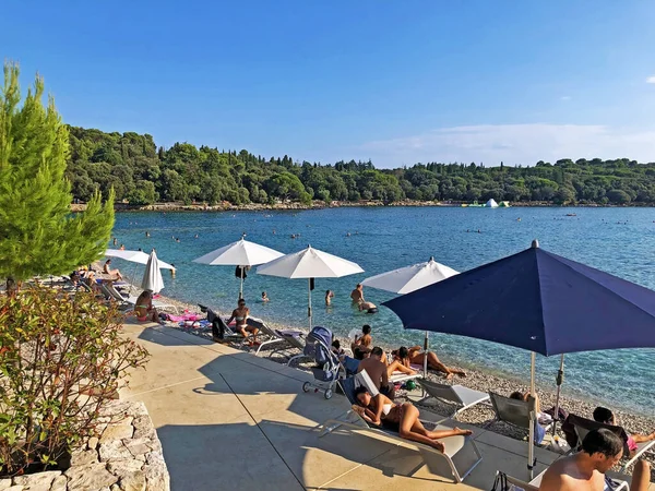Istrian batı kıyıları ve kasaba plajları, Rovinj (Rovigno) - Istria, Hırvatistan / Istarska zapadna obala i gradska kupalista, Rovinj - Istra, Hrvatska