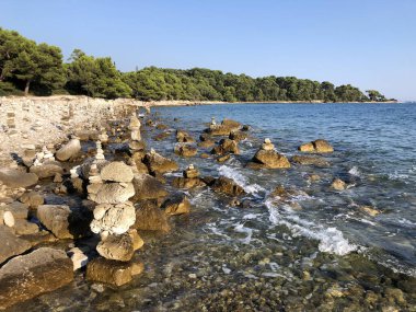 Altın Burun Parkı Zlatni rt, Rovinj (Rovigno) - Istria, Hırvatistan / Park suma Zlatni rt (Punta corrente), Rovinj - Istra, Hrvatska / Waldpark Zlatni rt, Kroatien