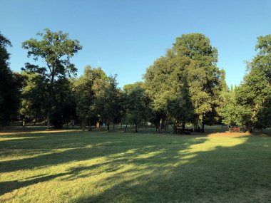 Altın Burun Parkı Zlatni rt, Rovinj (Rovigno) - Istria, Hırvatistan / Park suma Zlatni rt (Punta corrente), Rovinj - Istra, Hrvatska / Waldpark Zlatni rt, Kroatien