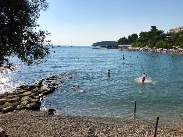 Taman Hutan Tanjung Emas Zlatni Rovinj Rovigno Istria Kroasia Park — Stok Foto