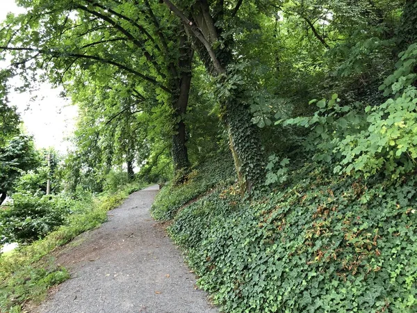 都市公園と旧市街の遊歩道 ポゼガ スラヴォニア クロアチア 公園ポッドGradom Setaliste Stari Grad Pozega Slavonija — ストック写真