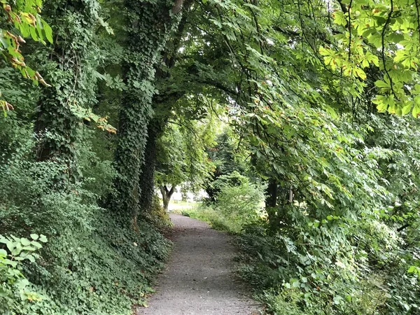 Park Miejski Promenada Starego Miasta Pozega Slawonia Chorwacja Park Pod — Zdjęcie stockowe