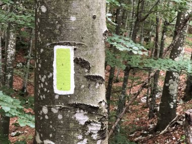 Strazica - Sapacica Toprak Sanat Patikası - Ucka Doğa Parkı, Hırvatistan / Arazi sanatı staza Strazica Sapacica - Park Ucka, Hrvatska