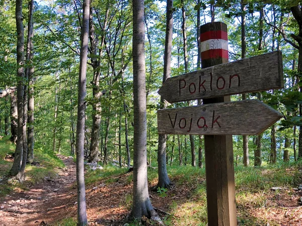 Wandelpaden Bospaden Fietswegen Het Natuurpark Ucka Kroatië Planinarske Staze Sumski — Stockfoto