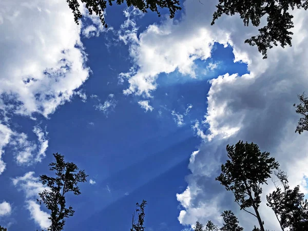 Hermoso Cielo Nubes Maravillosas Sobre Los Bosques Pastos Del Parque — Foto de Stock