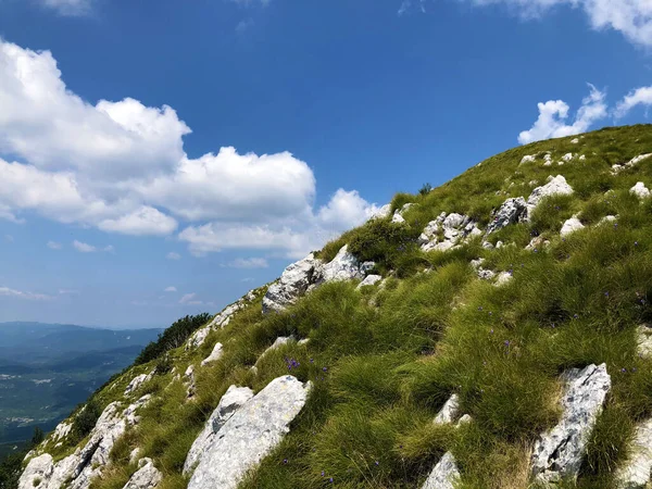 Schöner Himmel Und Wunderbare Wolken Über Den Wäldern Und Weiden — Stockfoto