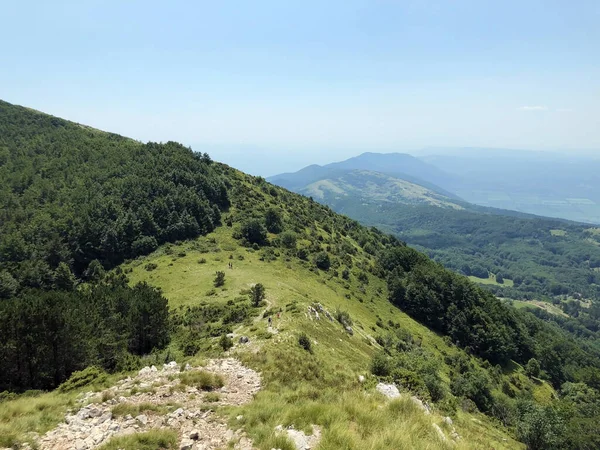 Wspaniałe Panoramy Lasów Pastwisk Widokiem Park Przyrody Ucka Chorwacja Panorama — Zdjęcie stockowe