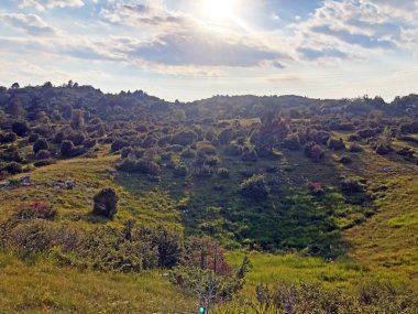 Hırvatistan 'ın Ucka doğa parkında ve Cicarija Dağı' ndaki seyrek orman ve otlaklar - Prorijedjene I pasnjaci na planini Cicariji i parku prirode Ucka, Hrvatska