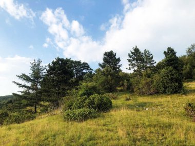 Hırvatistan 'ın Ucka doğa parkında ve Cicarija Dağı' ndaki seyrek orman ve otlaklar - Prorijedjene I pasnjaci na planini Cicariji i parku prirode Ucka, Hrvatska