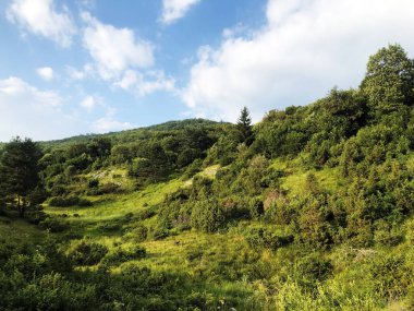 Hırvatistan 'ın Ucka doğa parkında ve Cicarija Dağı' ndaki seyrek orman ve otlaklar - Prorijedjene I pasnjaci na planini Cicariji i parku prirode Ucka, Hrvatska