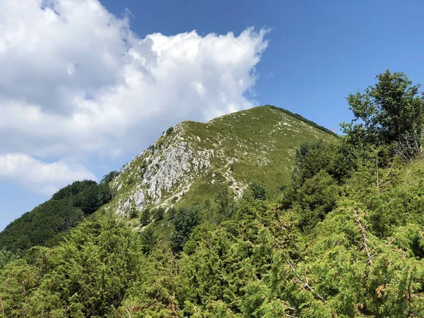 Karge Wälder Und Weiden Auf Dem Berg Ucka Und Naturpark — Stockfoto