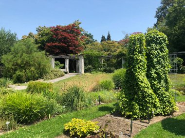Botanik Bahçesi St. Gallen veya Der Botanische Bahçesi St. Gallen (Sankt Gallen 'deki Botanik Bahçesi), İsviçre / Schweiz