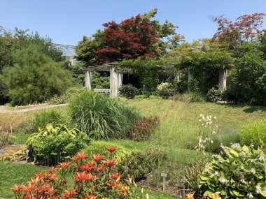 Botanik Bahçesi St. Gallen veya Der Botanische Bahçesi St. Gallen (Sankt Gallen 'deki Botanik Bahçesi), İsviçre / Schweiz