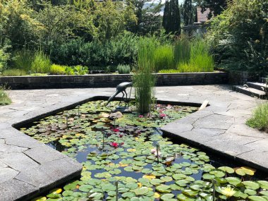Botanik Bahçesi St. Gallen veya Der Botanische Bahçesi St. Gallen (Sankt Gallen 'deki Botanik Bahçesi), İsviçre / Schweiz